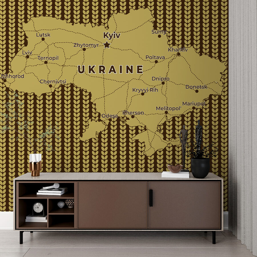 Mapa Ukrainy z liniami i miastami