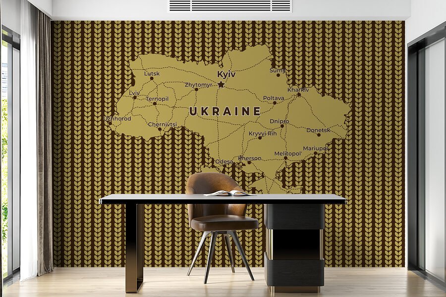 Mapa Ukrainy z liniami i miastami