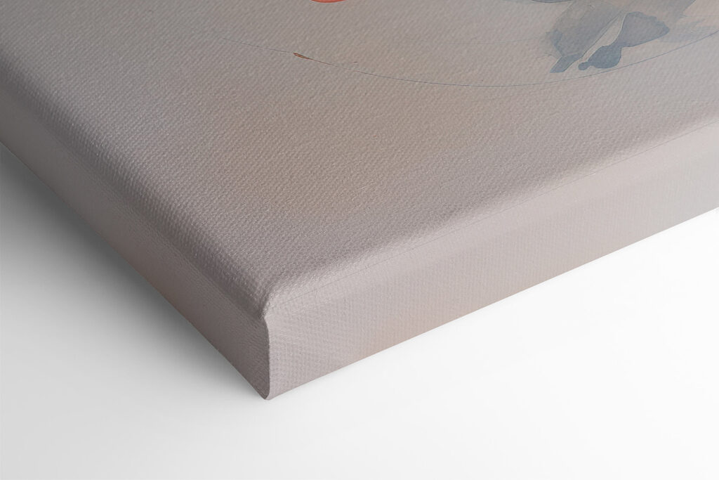 Group of orange and white fish