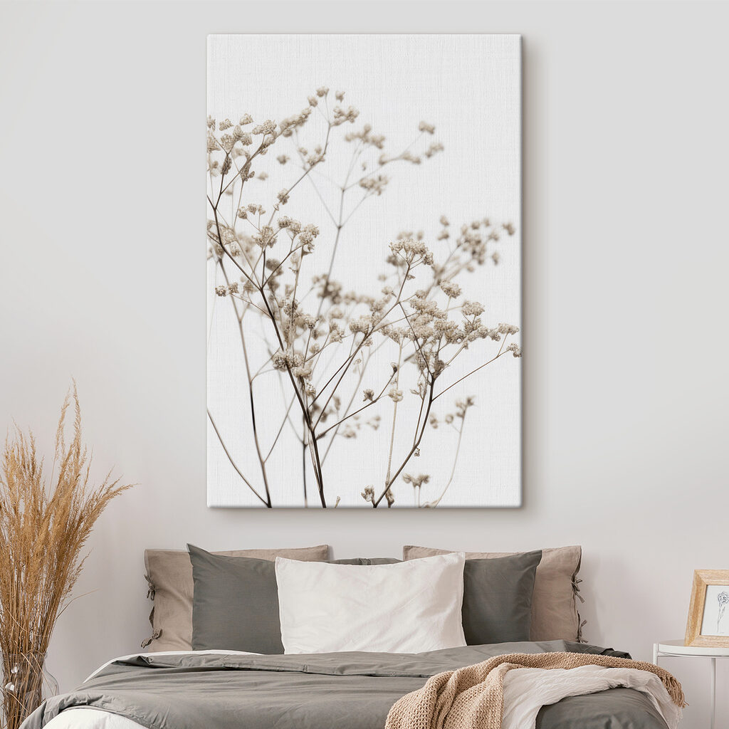 Delicate dried flowers against white backdrop Delicate dried flowers against white backdrop