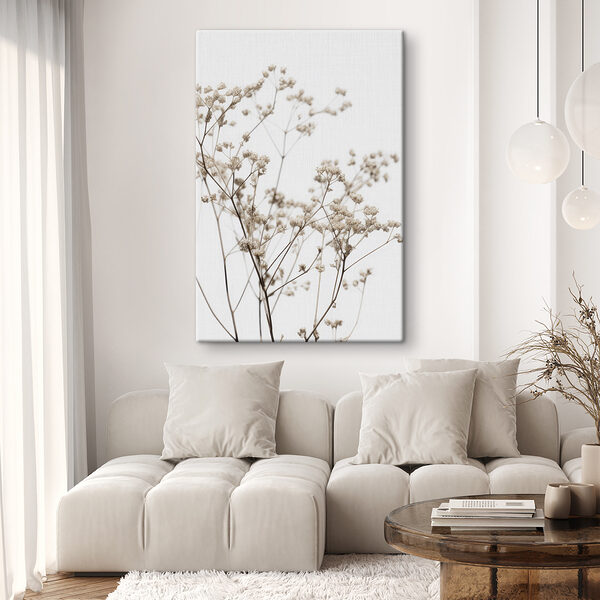Delicate dried flowers against white backdrop Delicate dried flowers against white backdrop