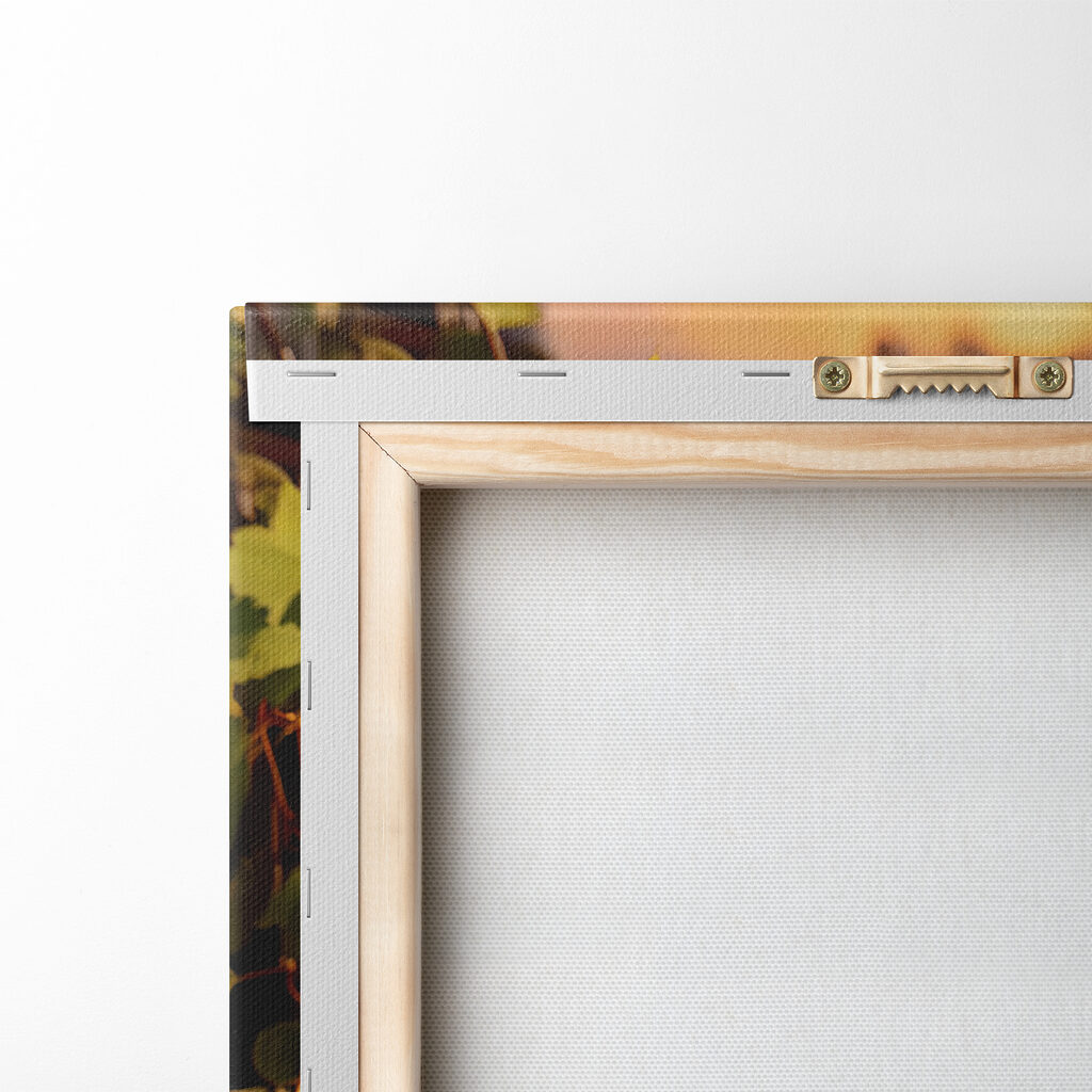 Group of wine glasses and grapes on a table