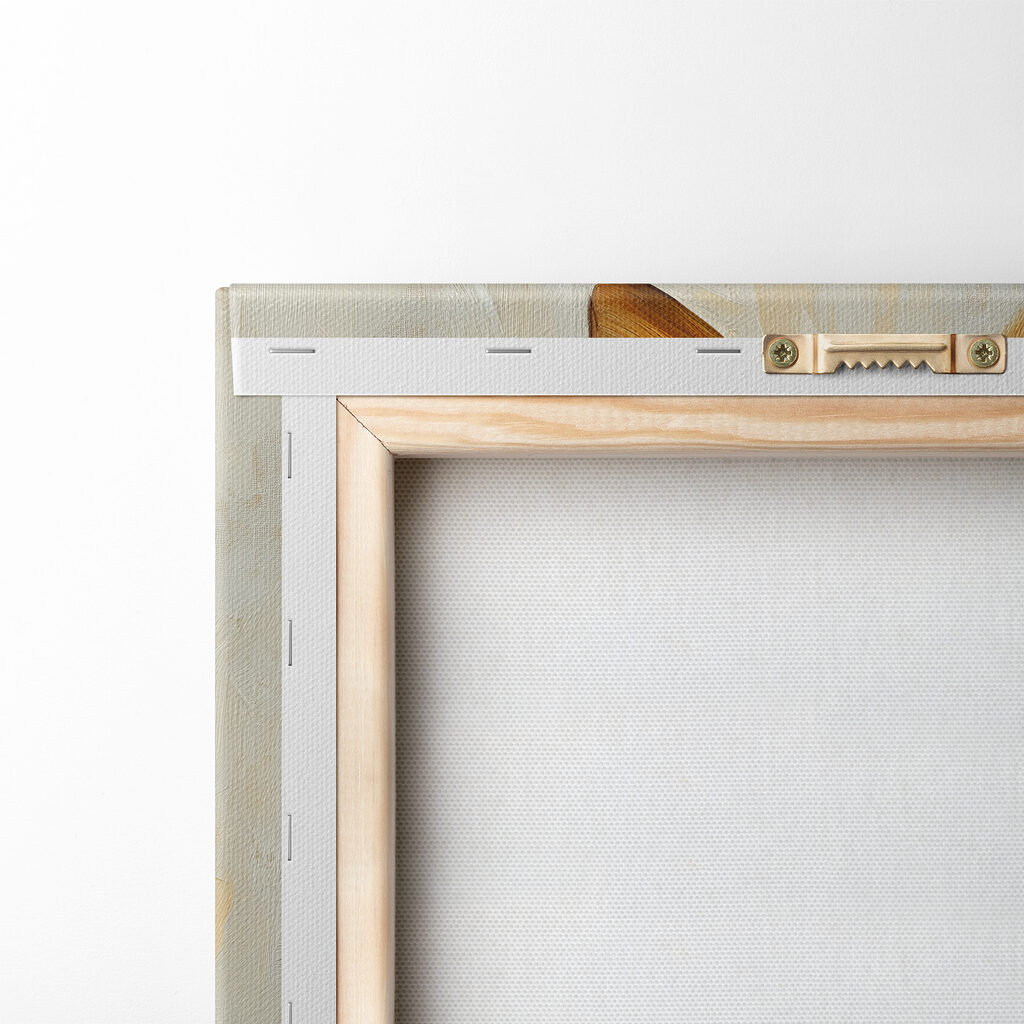 Close up of a rabbit