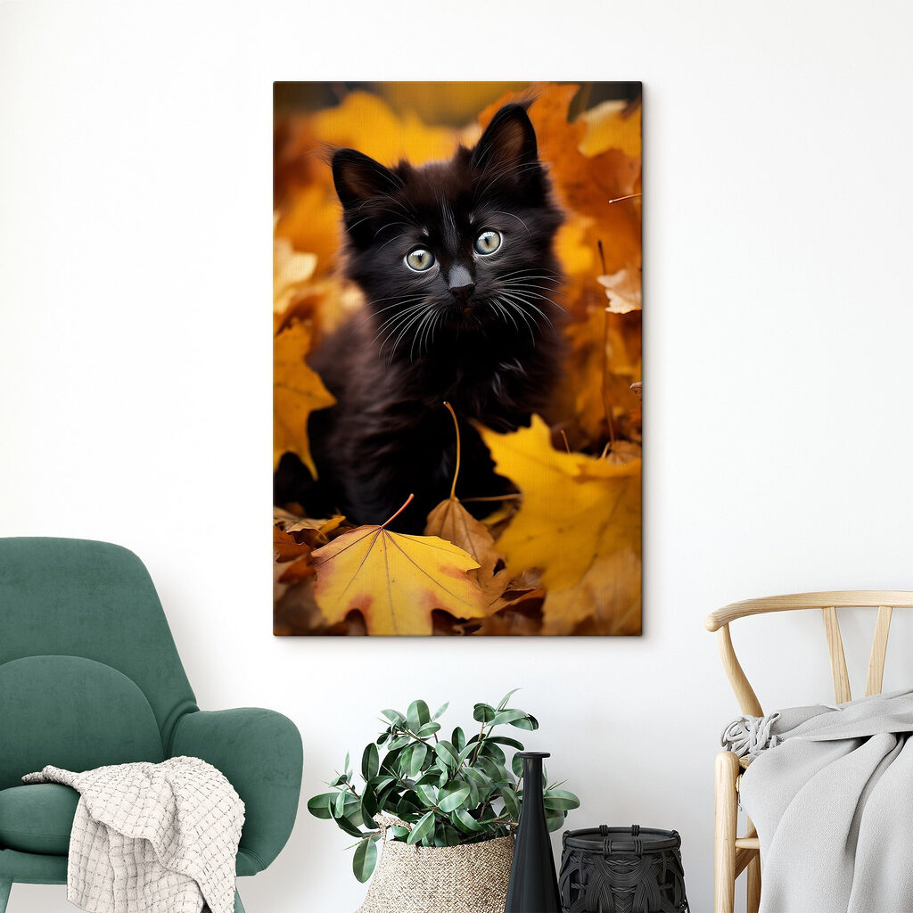 Black kitten in a pile of leaves Black kitten in a pile of leaves
