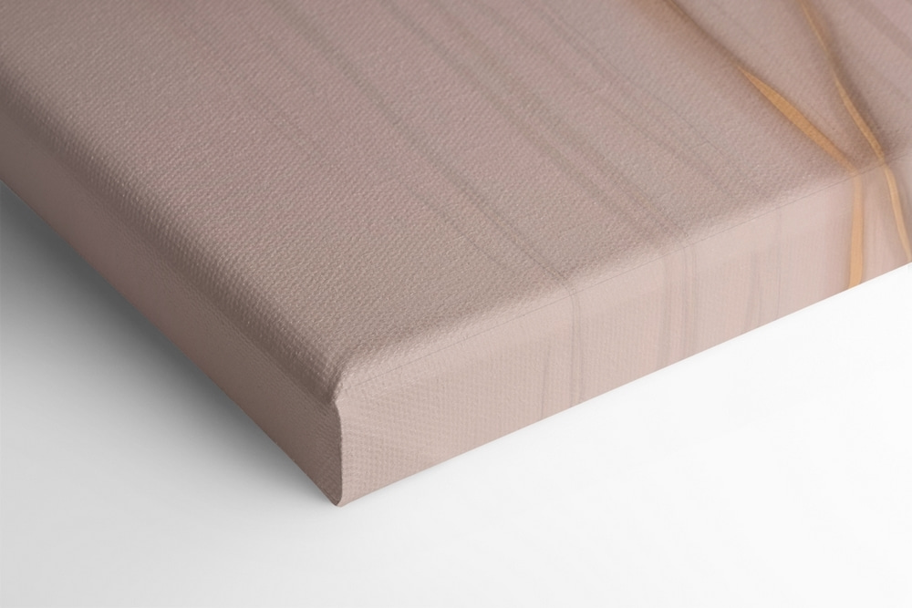 Close up of a flower