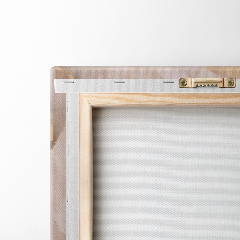 Close up of a flower