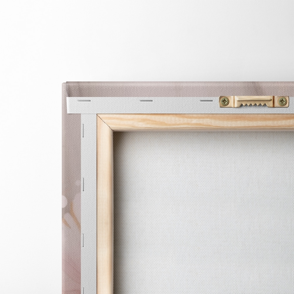 Close up of a flower Close up of a flower