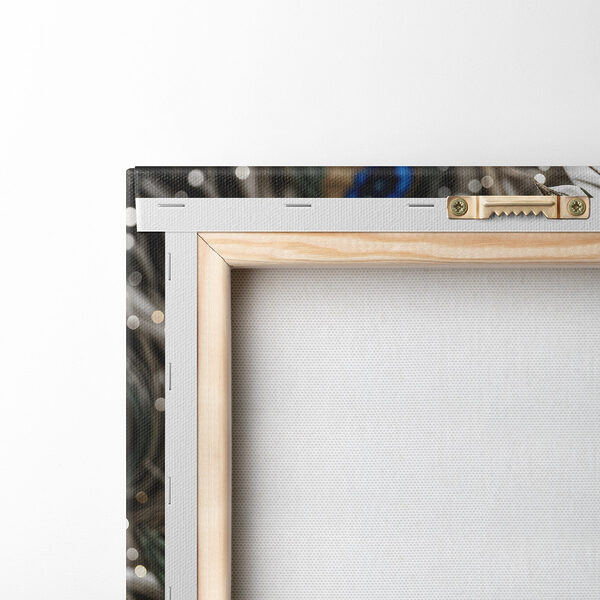 Close up of a peacock feather Close up of a peacock feather