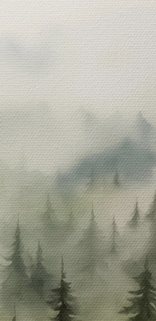 Foggy forest with trees Foggy forest with trees