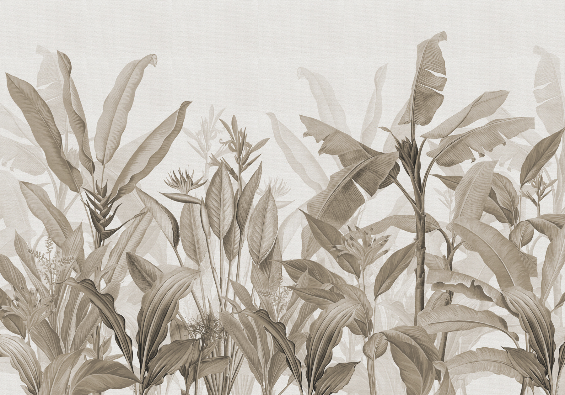 Close up of plants Close up of plants