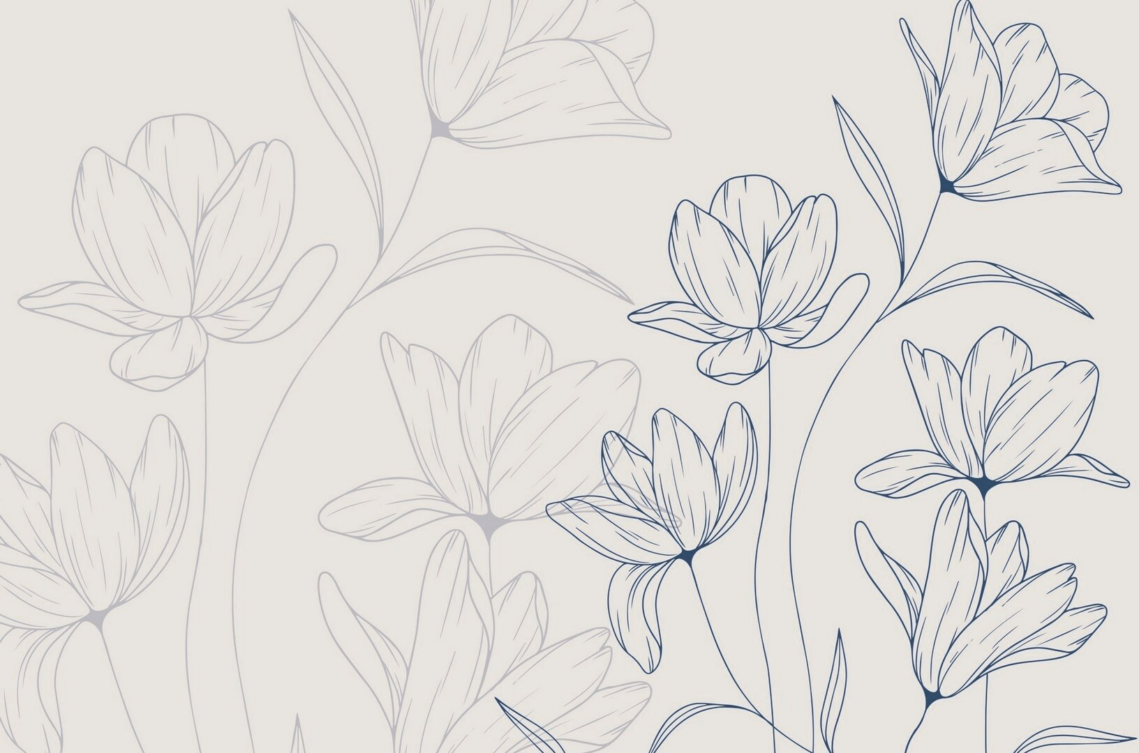 Drawing of flowers on a white background Drawing of flowers on a white background