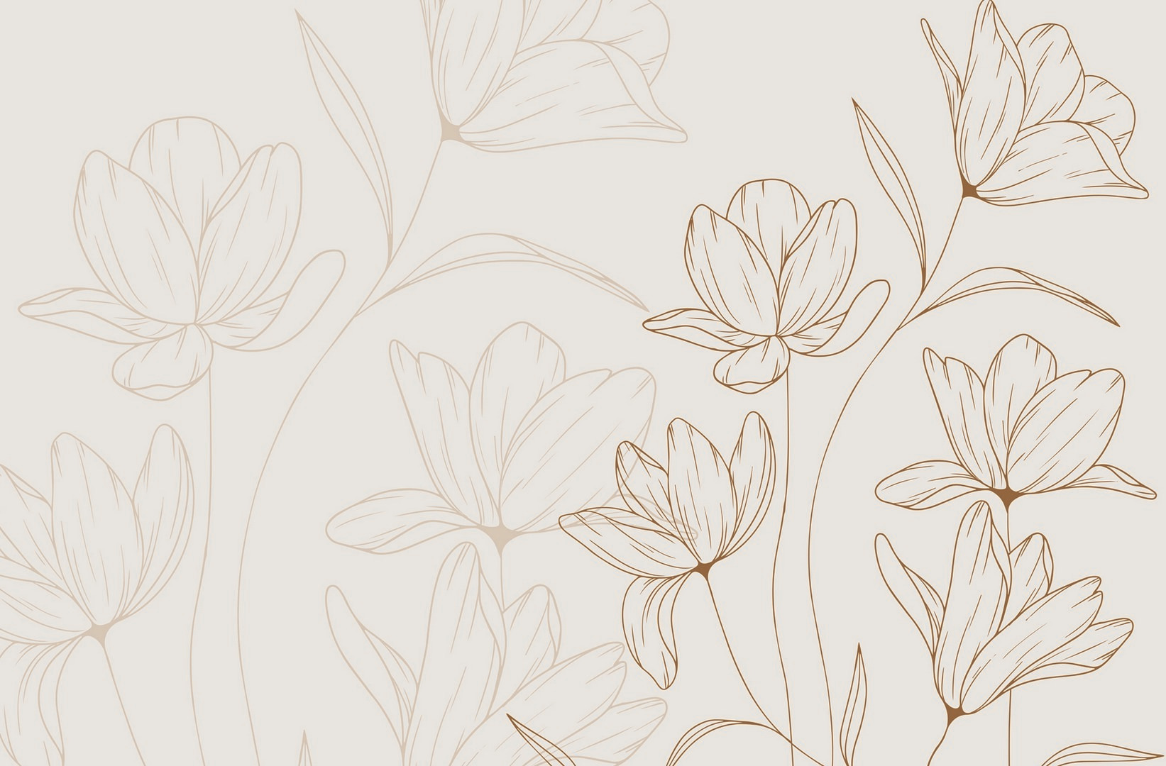 Drawing of flowers on a white background