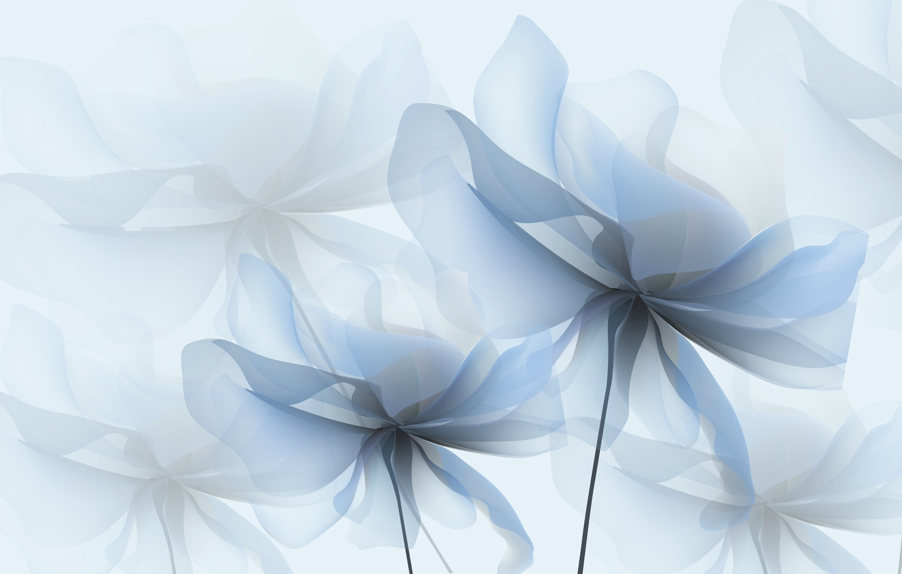 Close up of flowers