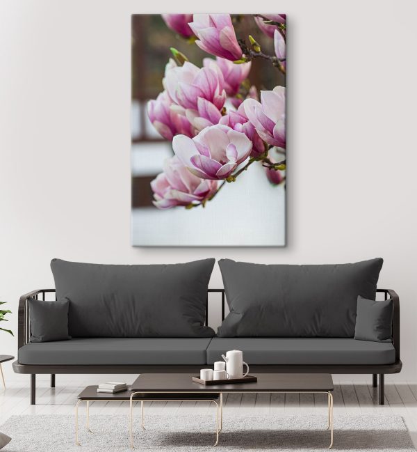 Wiosenna magnolia zakwita na nowo. Wiosenna magnolia zakwita na nowo.