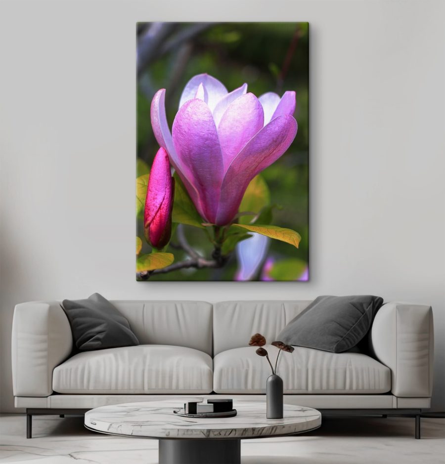 Magnolia: Wdzięczny kwiat natury