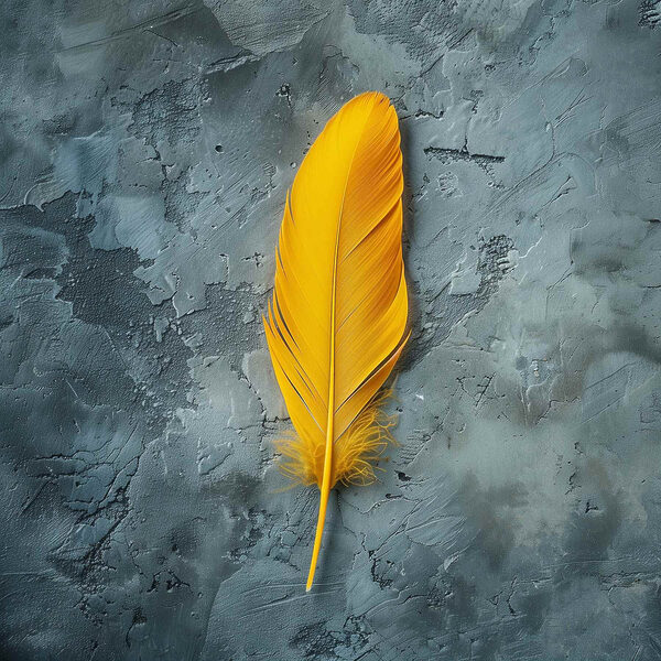 Yellow feather on a grey surface Yellow feather on a grey surface