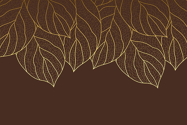 Group of leaves on a brown background
