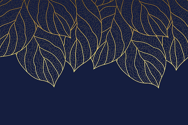 Elegant leaf pattern on dark background