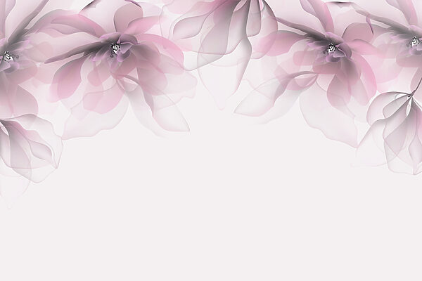 Group of pink flowers