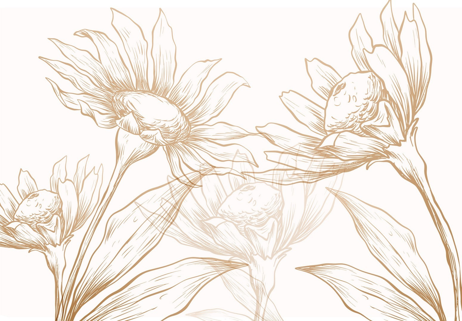 Drawing of flowers and leaves Drawing of flowers and leaves