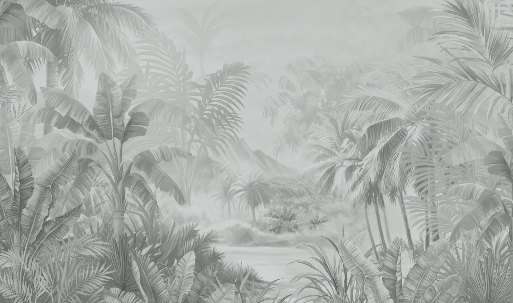 Greyscale image of a tropical forest Greyscale image of a tropical forest