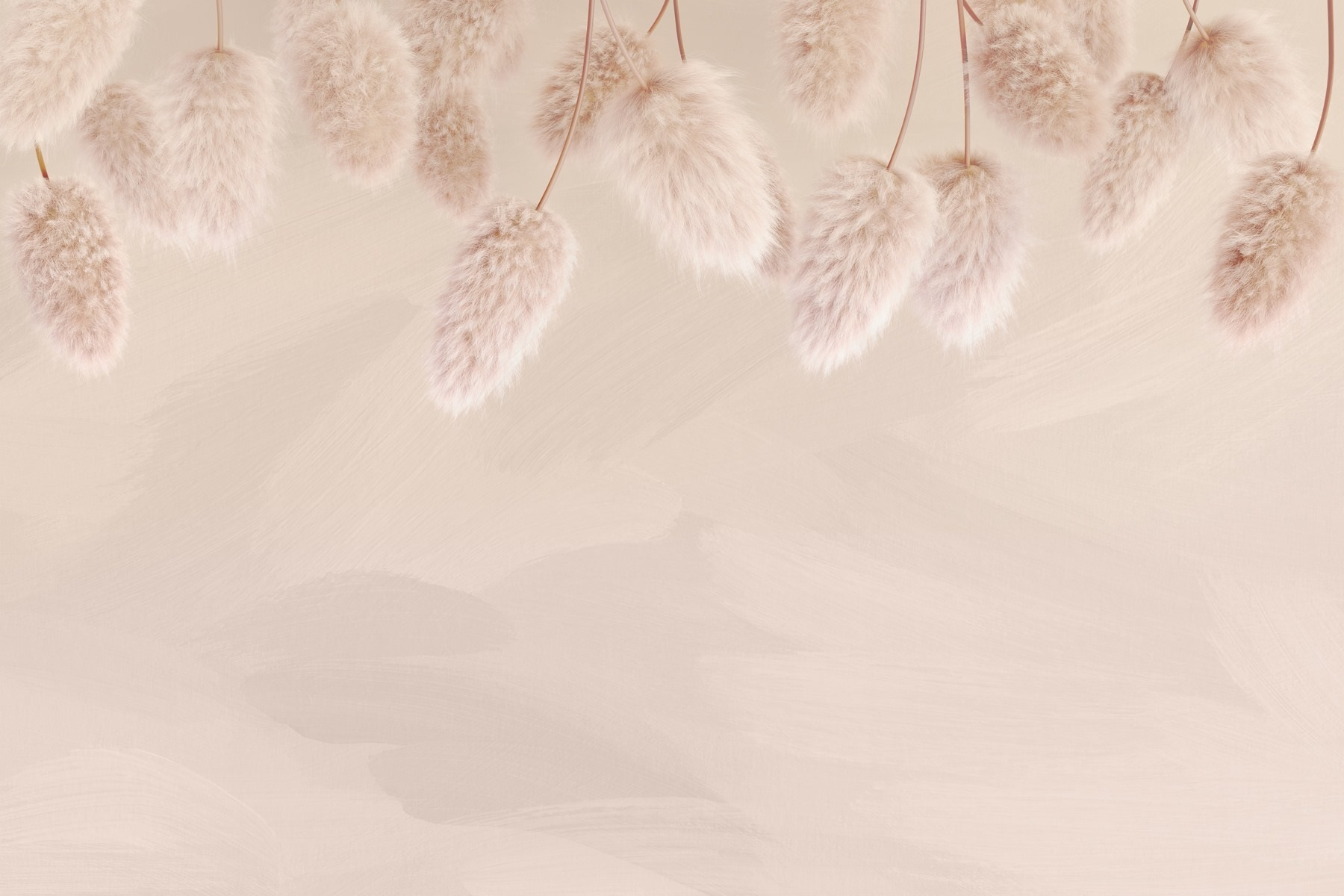 Group of fluffy flowers