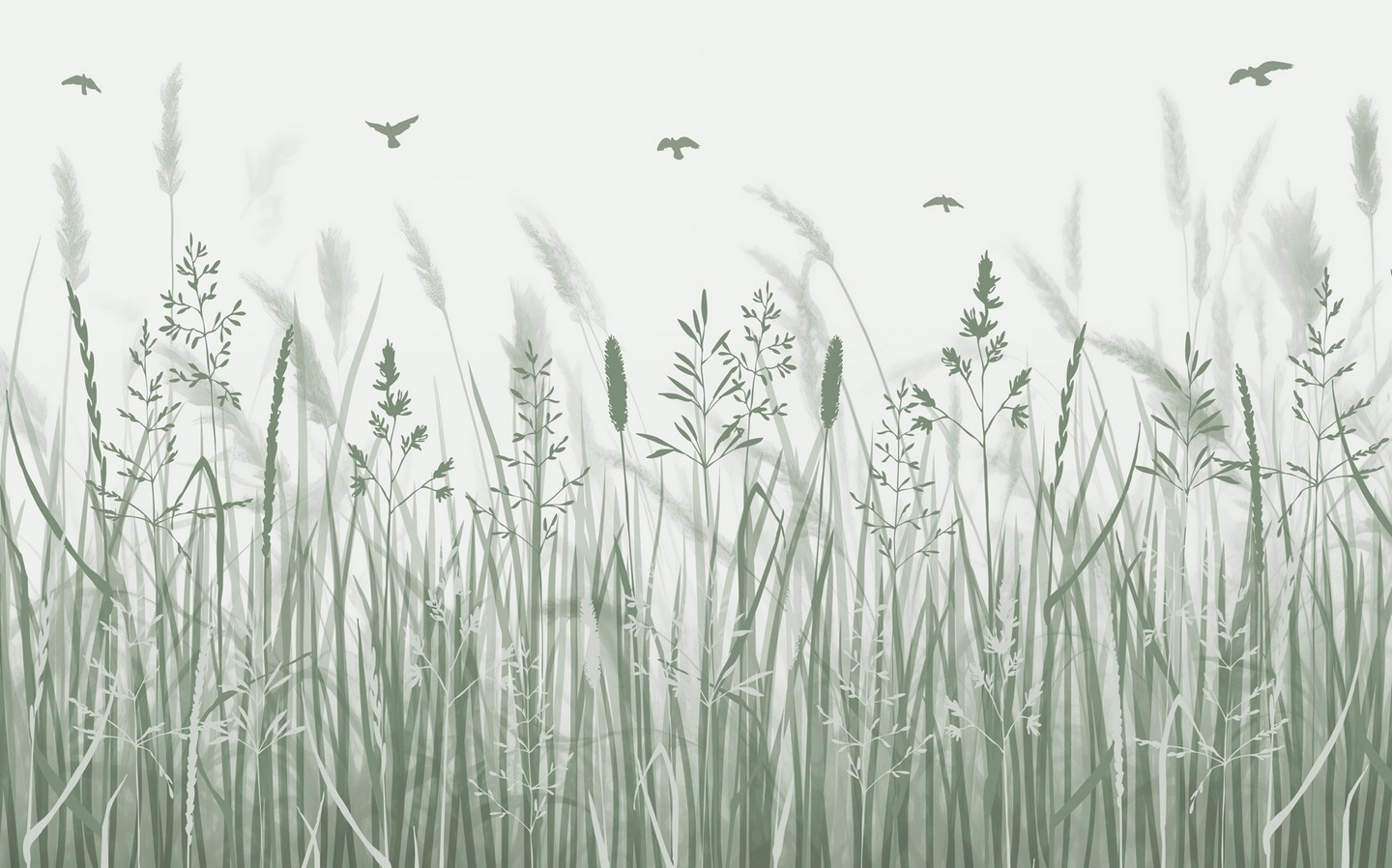 Field of grass with birds flying