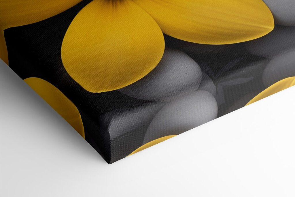 Yellow flowers on a pile of rocks Yellow flowers on a pile of rocks