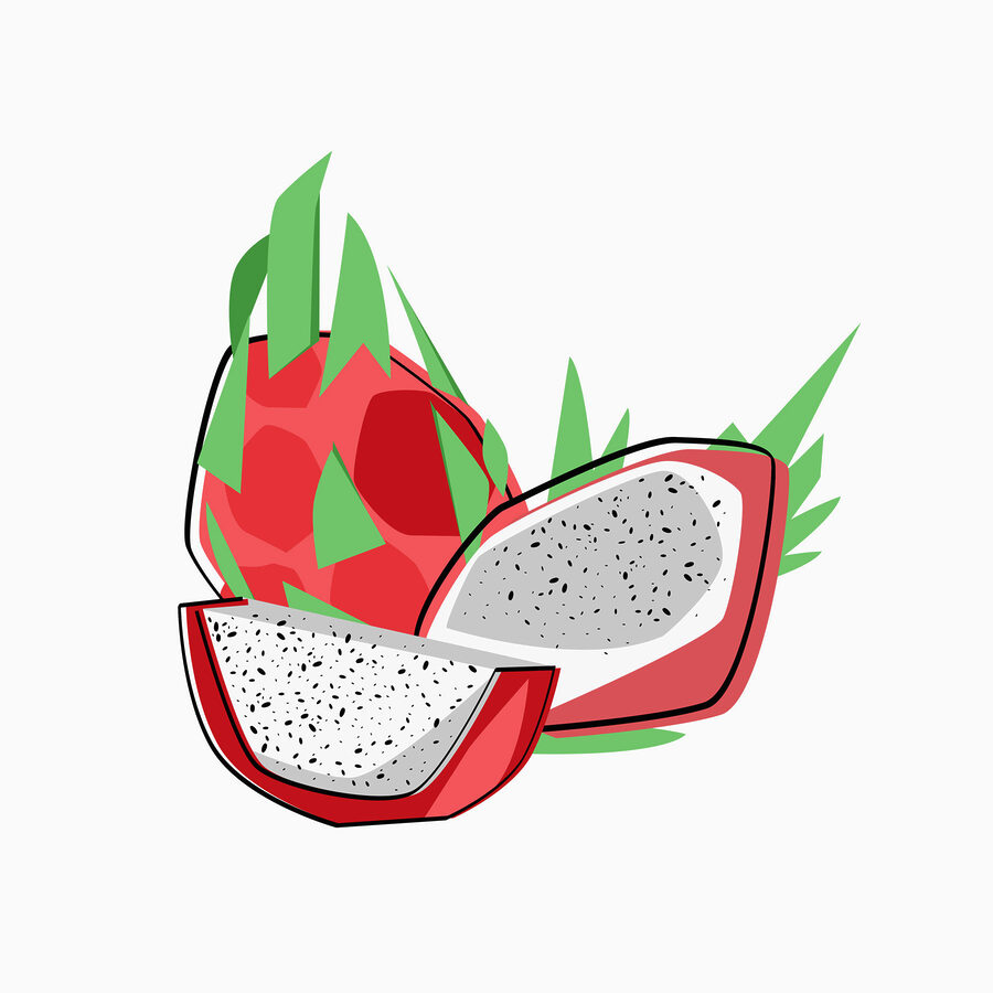 Rysunek smoczego owocu