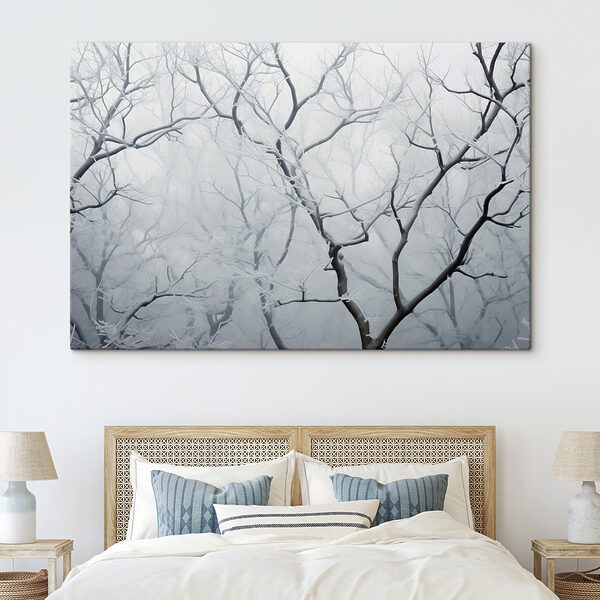 Tree branches with snow on them Tree branches with snow on them