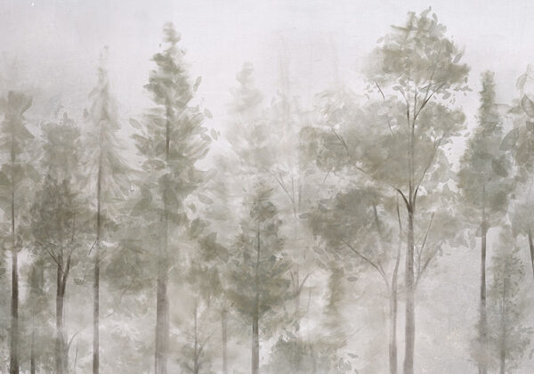 Group of trees in fog