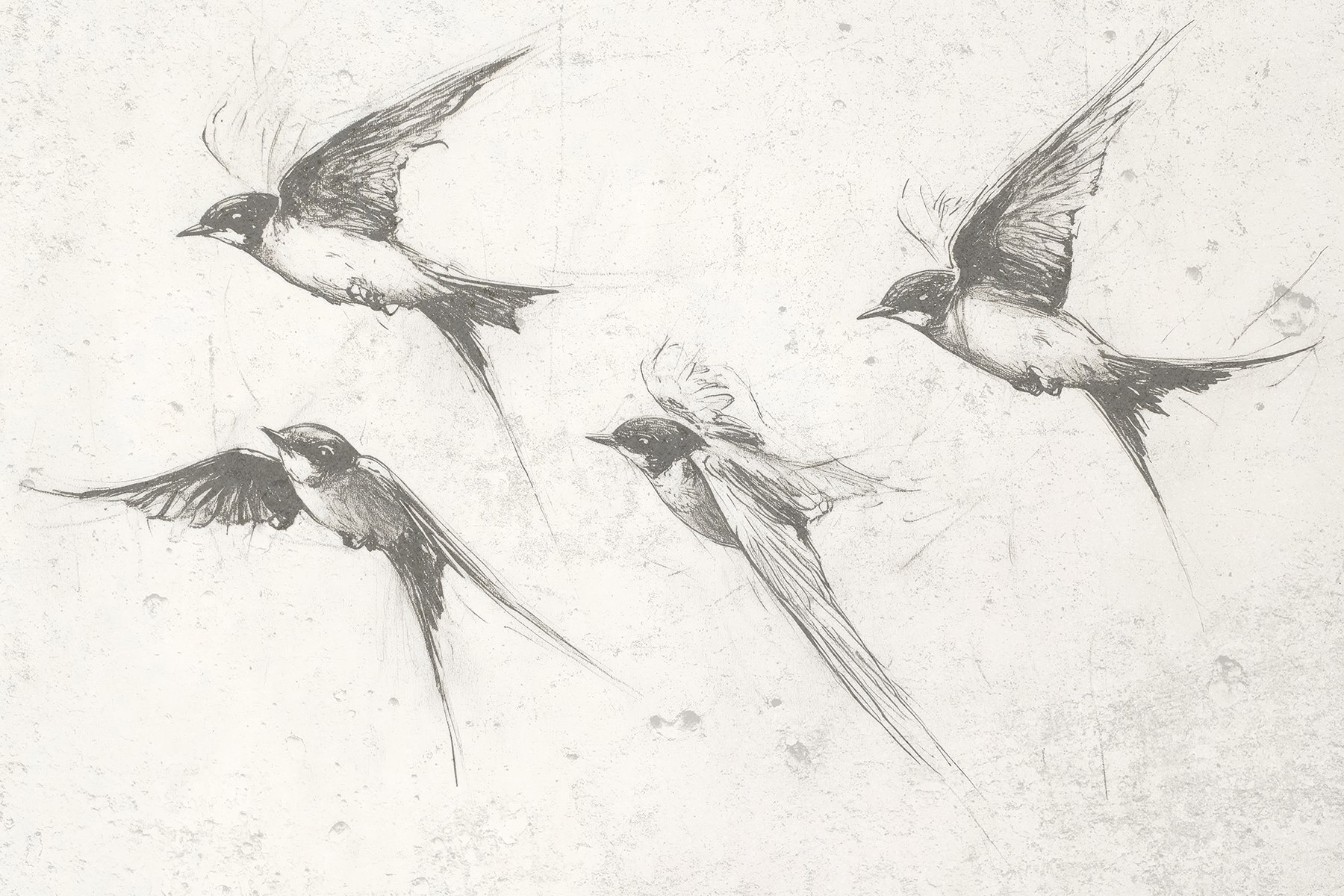 Group of birds flying Group of birds flying