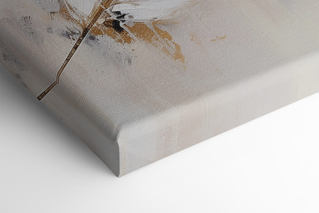 Delicate feather on a soft background Delicate feather on a soft background