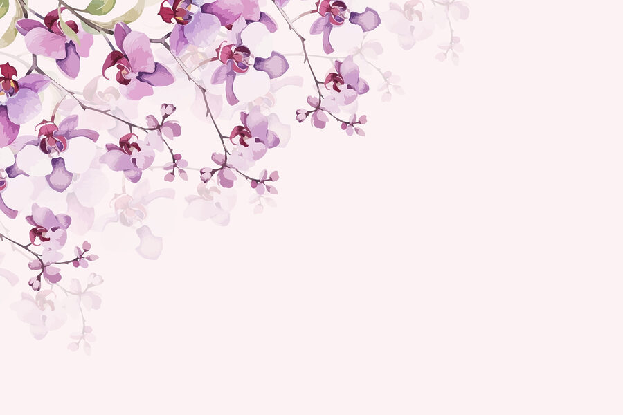 Delikatne orchidee w miękkich pastelowych odcieniach
