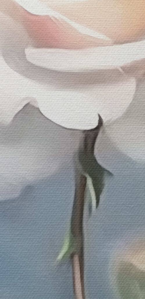 White rose with green leaves