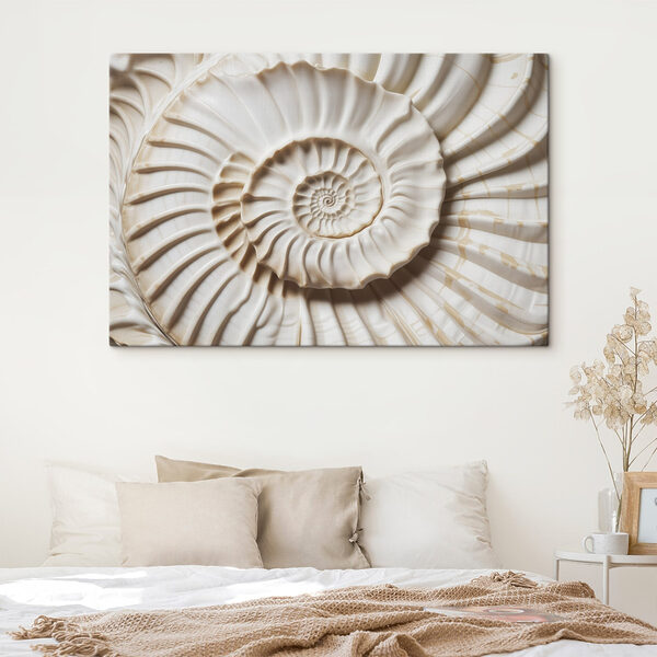 Elegancki wzór spiralnej muszli pięknie się prezentuje. Elegancki wzór spiralnej muszli pięknie się prezentuje.