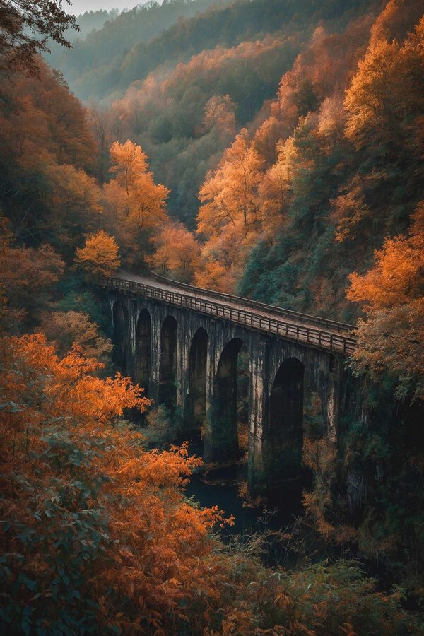 Most nad rzeką z drzewami w tle Most nad rzeką z drzewami w tle