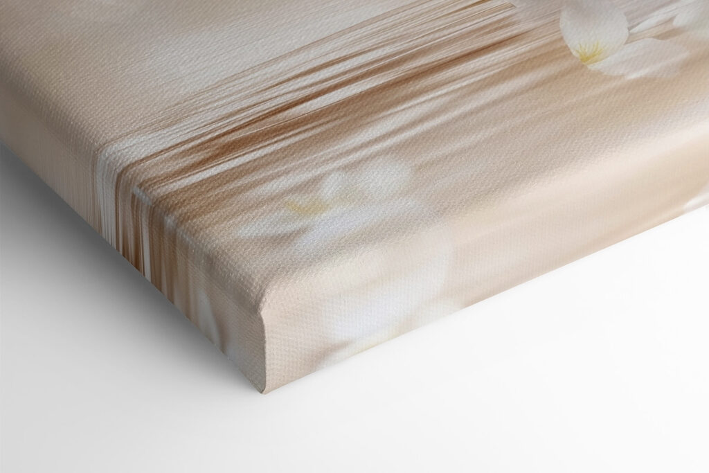 Group of white roses and cinnamon sticks in water Group of white roses and cinnamon sticks in water