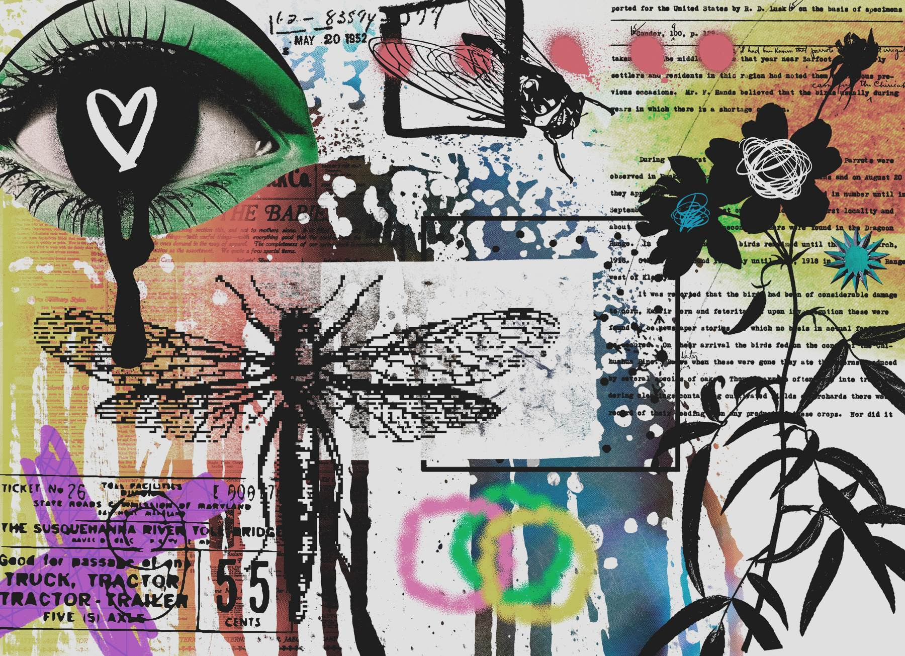 Collage of art with dragonflies and flowers