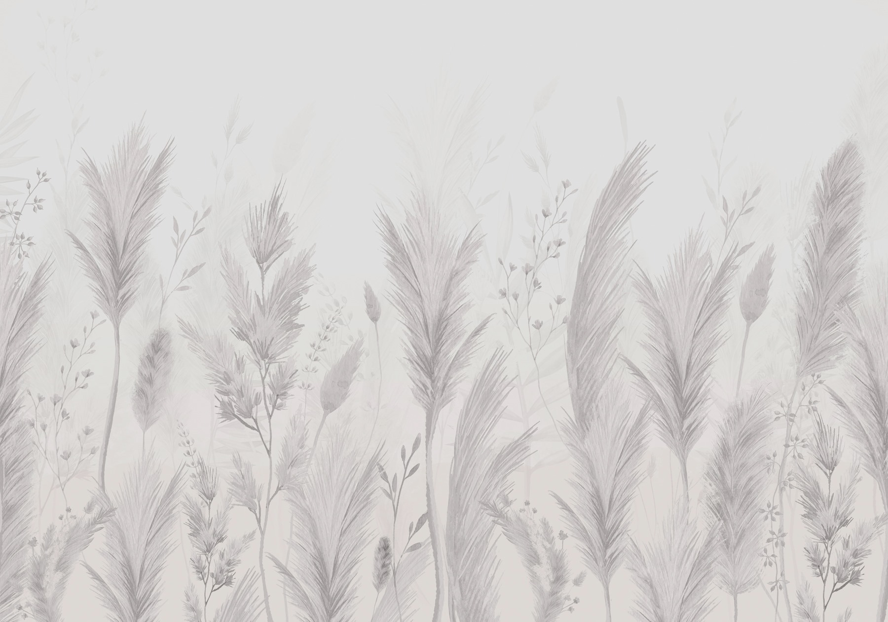 White background with grass and flowers White background with grass and flowers