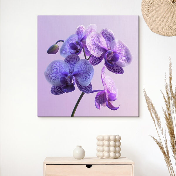 Fioletowy i biały kwiat orchidei Fioletowy i biały kwiat orchidei