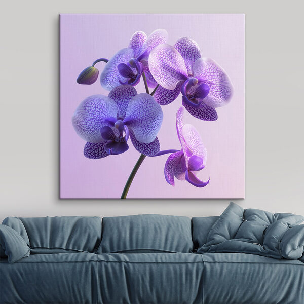 Fioletowy i biały kwiat orchidei Fioletowy i biały kwiat orchidei
