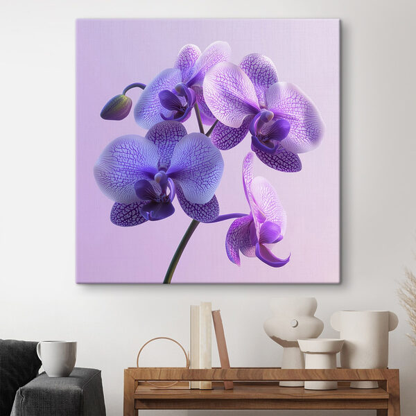 Fioletowy i biały kwiat orchidei Fioletowy i biały kwiat orchidei