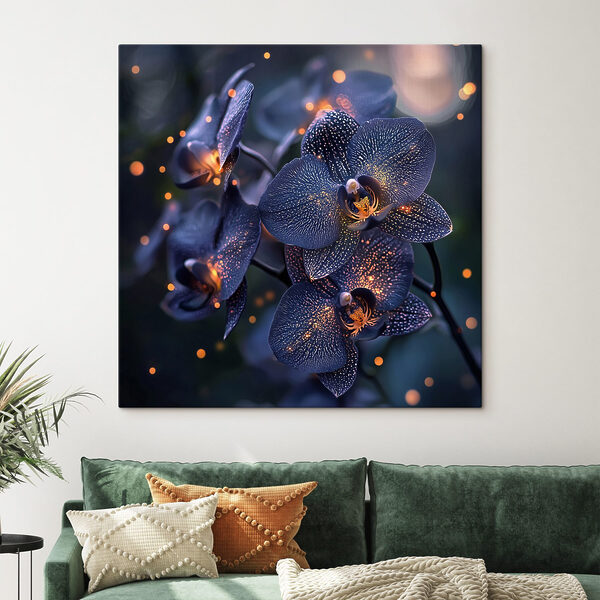 Eleganckie orchidee w delikatnej atmosferze Eleganckie orchidee w delikatnej atmosferze