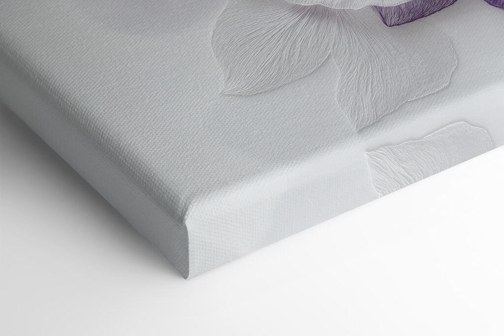 Purple and white flowers on a white surface Purple and white flowers on a white surface