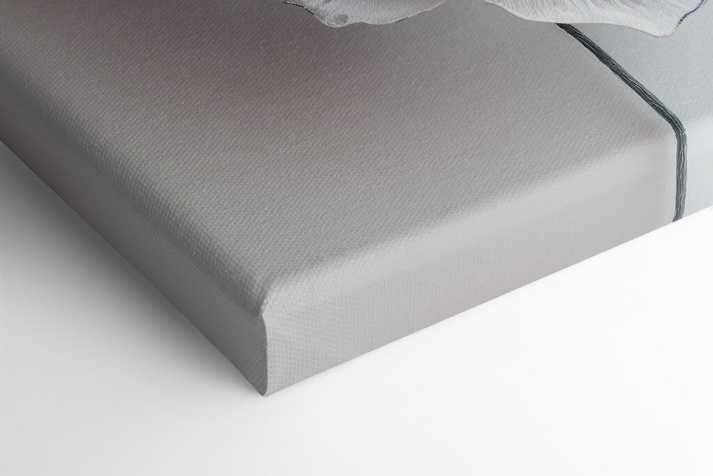 Delicate blooms in soft hues Delicate blooms in soft hues