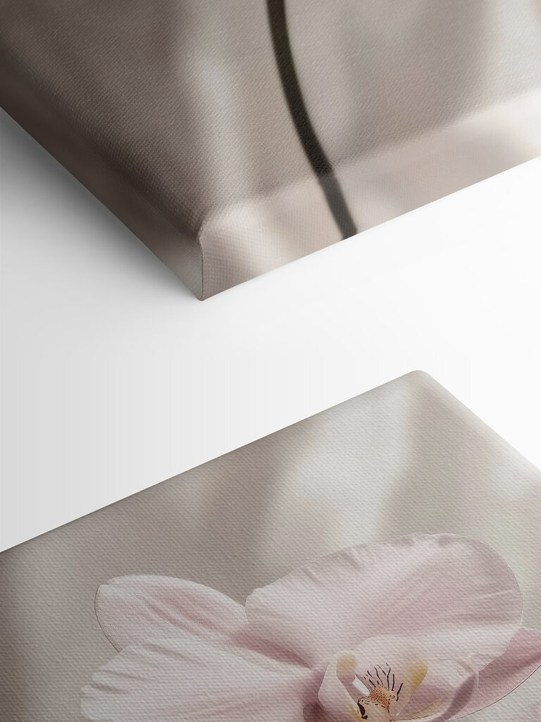 Delicate blossoms in soft hues Delicate blossoms in soft hues