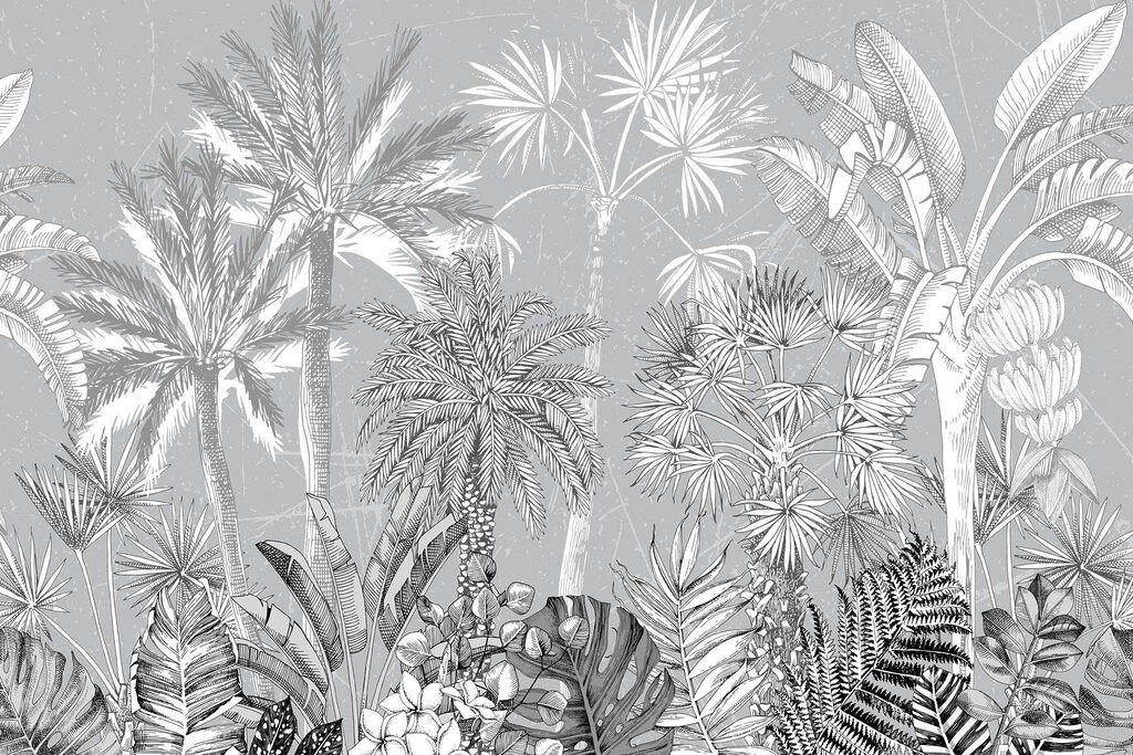 Grupa palm Grupa palm