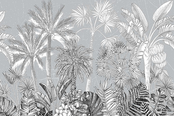 Grupa palm Grupa palm