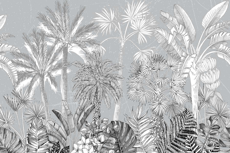 Grupa palm